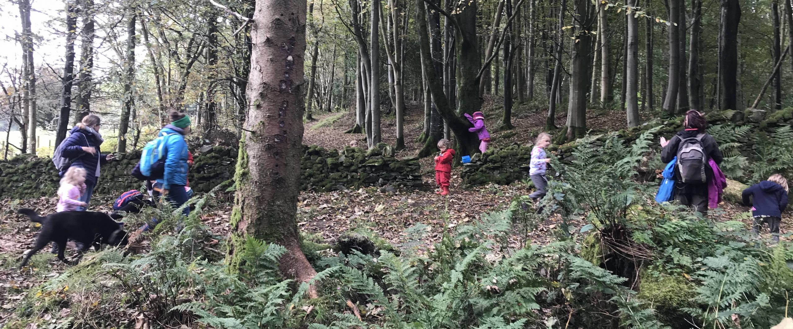 Toddler Group in Barrhill Woods
